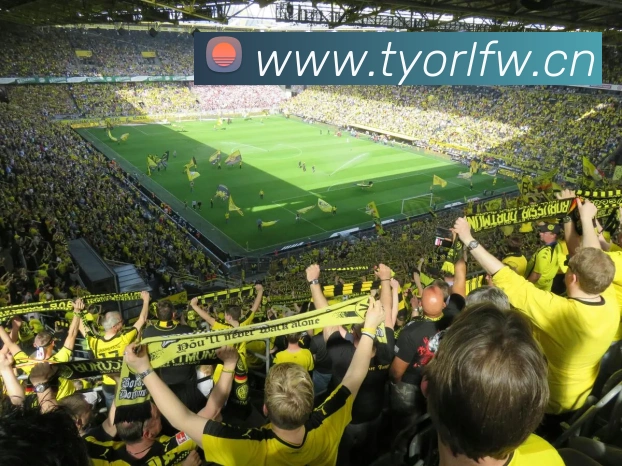 CCTV5在线直播足球赛:独家解说,为您呈现全场精彩回放与分析